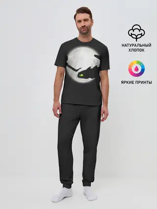 Мужская пижама с брюками / Как приручить дракона