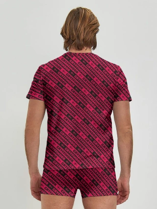 Мужские трусы с футболкой / Гриффиндор паттерн