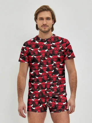 Мужские трусы с футболкой / Быки Chicago Bulls