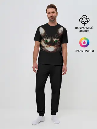 Мужская пижама с брюками / Зеленоглазый кот