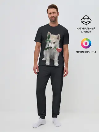 Мужская пижама с брюками / Щенок в подарок