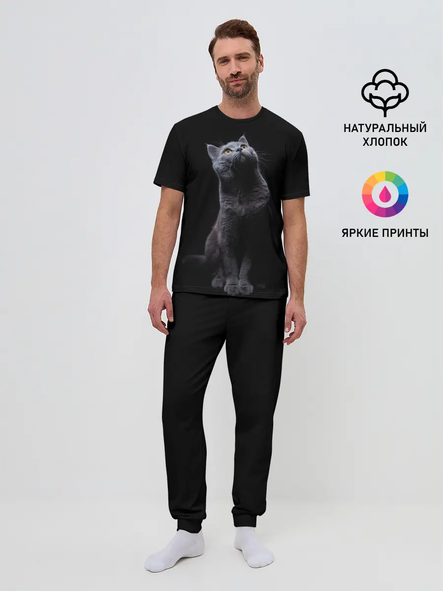 Мужская пижама с брюками / Кот Британец