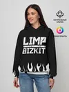 Женское худи / Limp Bizkit