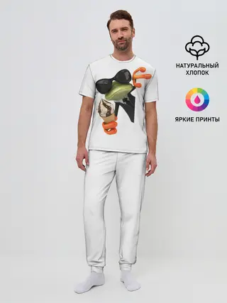 Мужская пижама с брюками / АГЕНТ ЛЕГУШАЧ | AGENT FROG