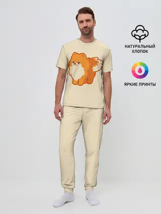 Мужская пижама с брюками / Шпиц