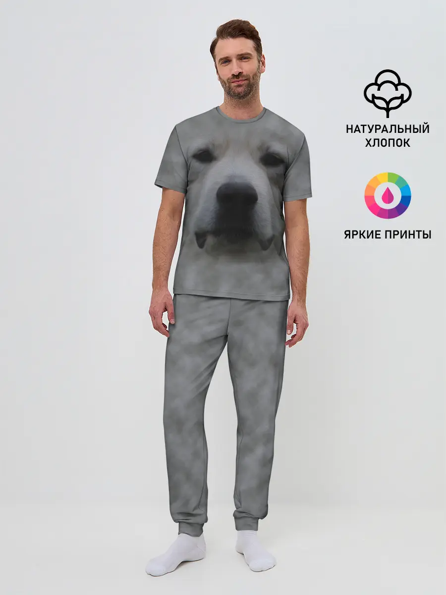 Мужская пижама с брюками / Лабрадор