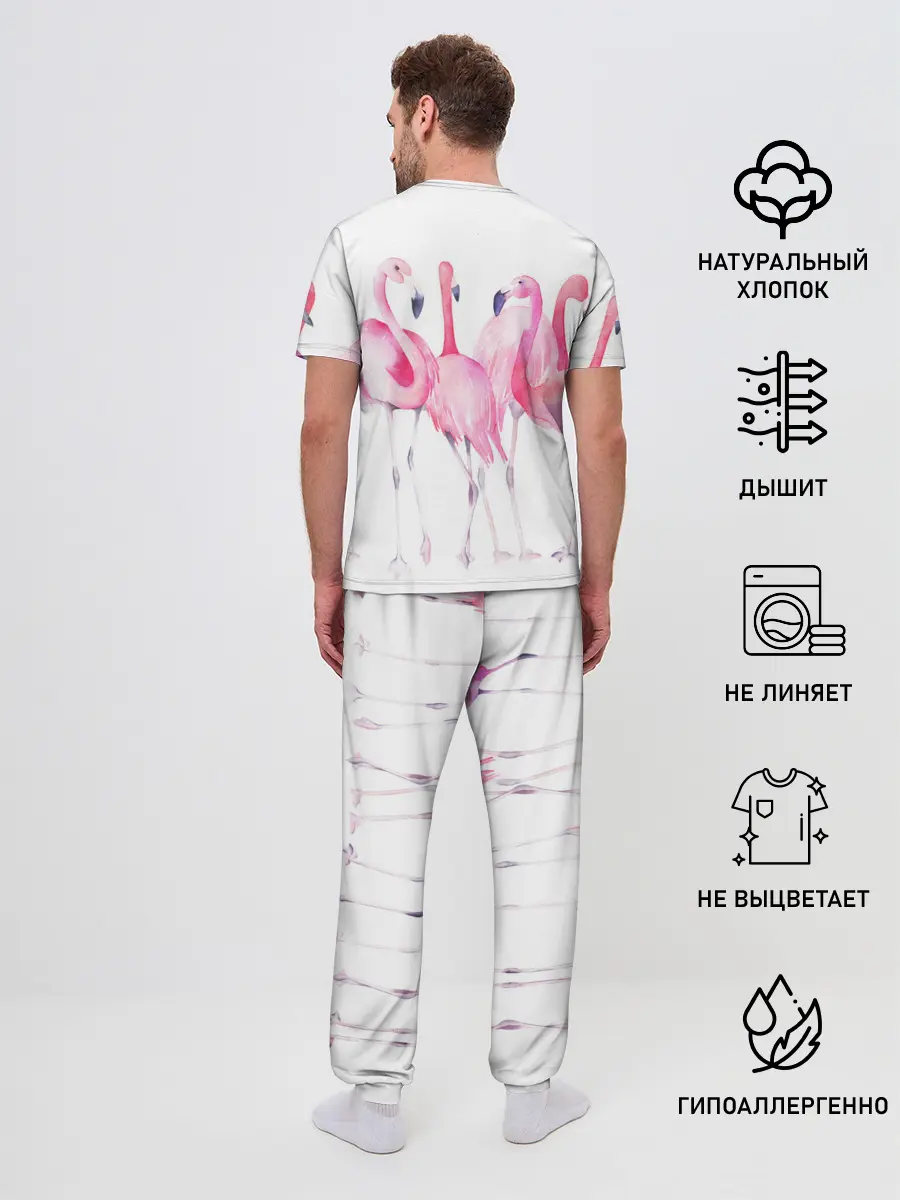 Мужская пижама с брюками / Фламинго