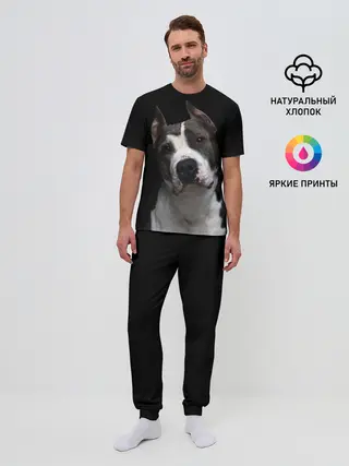 Мужская пижама с брюками / Американский питбуль