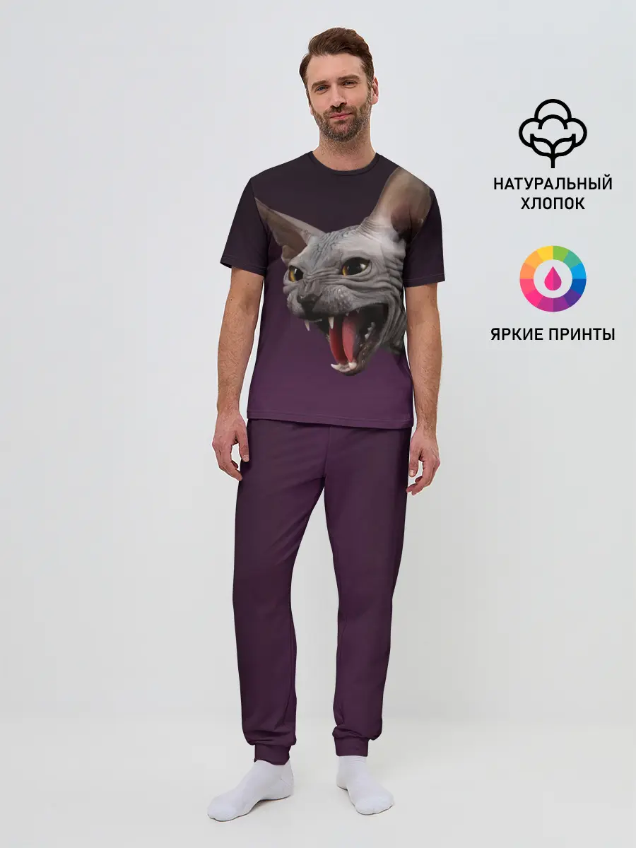 Мужская пижама с брюками / Сфинкс