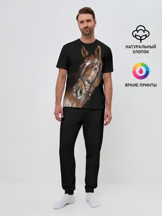 Мужская пижама с брюками / Гнедая лошадь