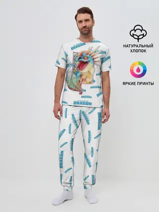 Мужская пижама с брюками / Как приручить дракона