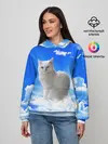 Женское худи / Кот в облаках