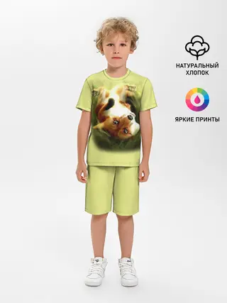 Детская пижама с шортами / Лиса на траве