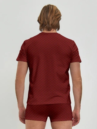 Мужские трусы с футболкой / Красная змея