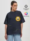 Женская футболка оверсайз / Renault