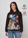 Женское худи / Fairy Tail logo and heroes