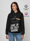 Женское худи / PINK FLOYD