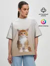 Женская футболка оверсайз / бело-рыжий котенок реализм