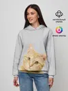 Женское худи / Рыжий котик