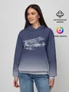 Женское худи / Биплан