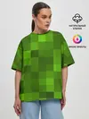 Женская футболка оверсайз / Minecraft
