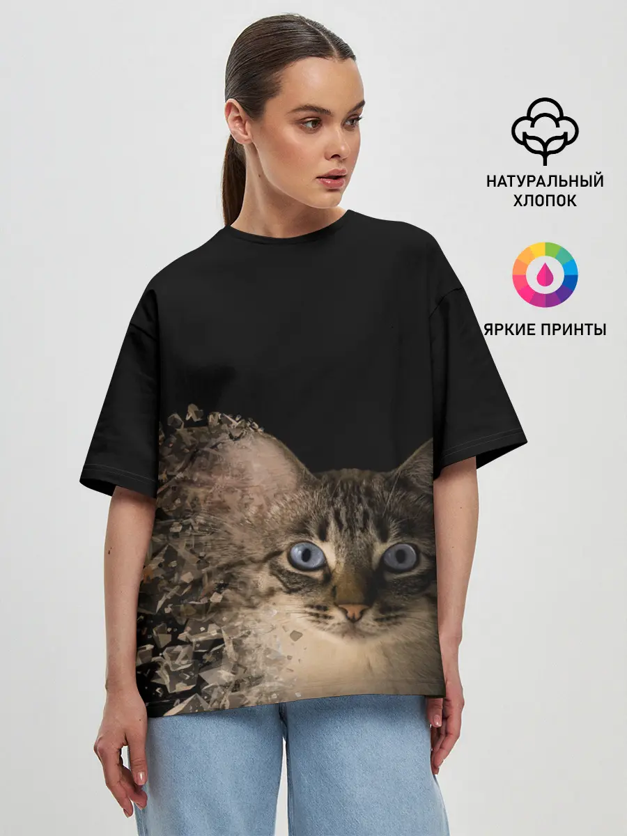 Женская футболка оверсайз / Disintegrating Cat