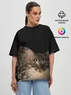 Женская футболка оверсайз / Disintegrating Cat