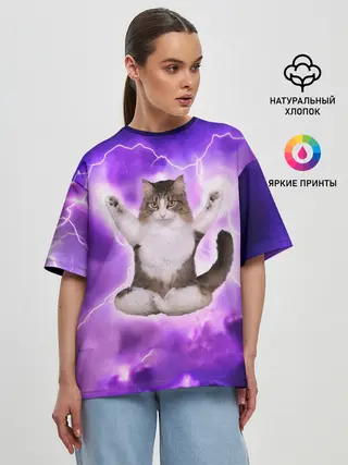 Женская футболка оверсайз / Повелитель Молний | Котэ