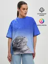 Женская футболка оверсайз / Кот и космос