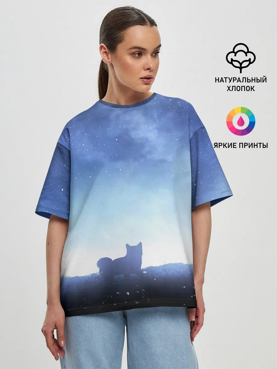 Женская футболка оверсайз / силуэт корги ночь космос дымка