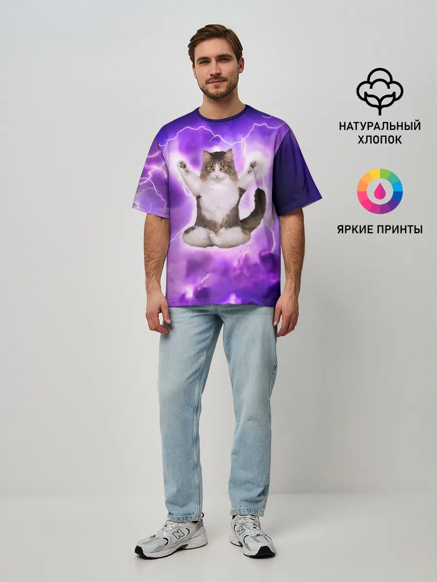 Мужская футболка оверсайз / Повелитель Молний | Котэ