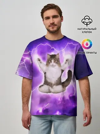 Мужская футболка оверсайз / Повелитель Молний | Котэ