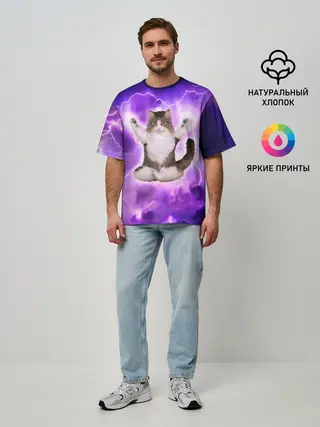 Мужская футболка оверсайз / Повелитель Молний | Котэ