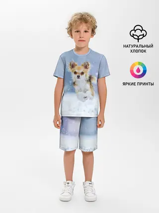 Детская пижама с шортами / Чихуахуа в снегу