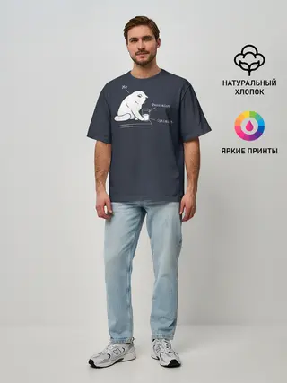 Мужская футболка оверсайз / Кот хулиган