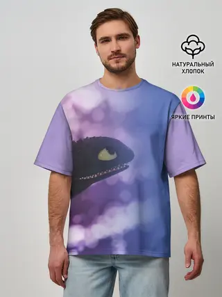 Мужская футболка оверсайз / КАК ПРИРУЧИТЬ ДРАКОНА