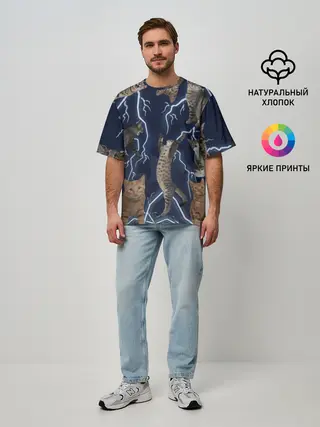 Мужская футболка оверсайз / Коты