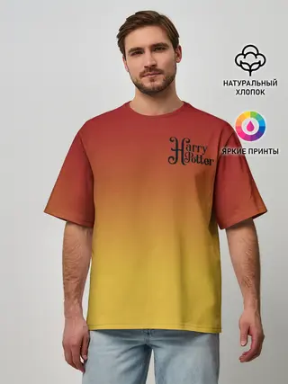 Мужская футболка оверсайз / Гарри Поттер