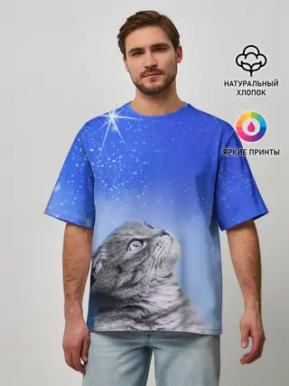 Мужская футболка оверсайз / Кот и космос