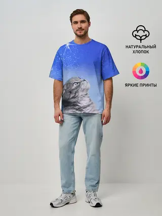 Мужская футболка оверсайз / Кот и космос