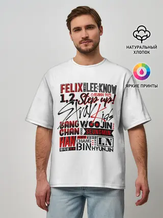 Мужская футболка оверсайз / Stray Kids