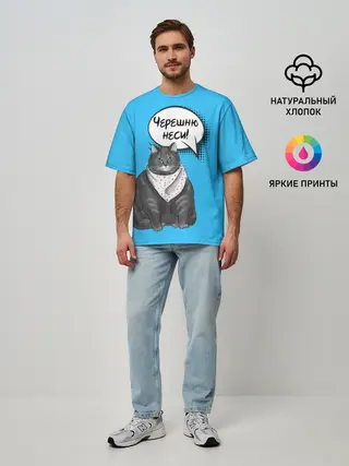 Мужская футболка оверсайз / Толстый кот