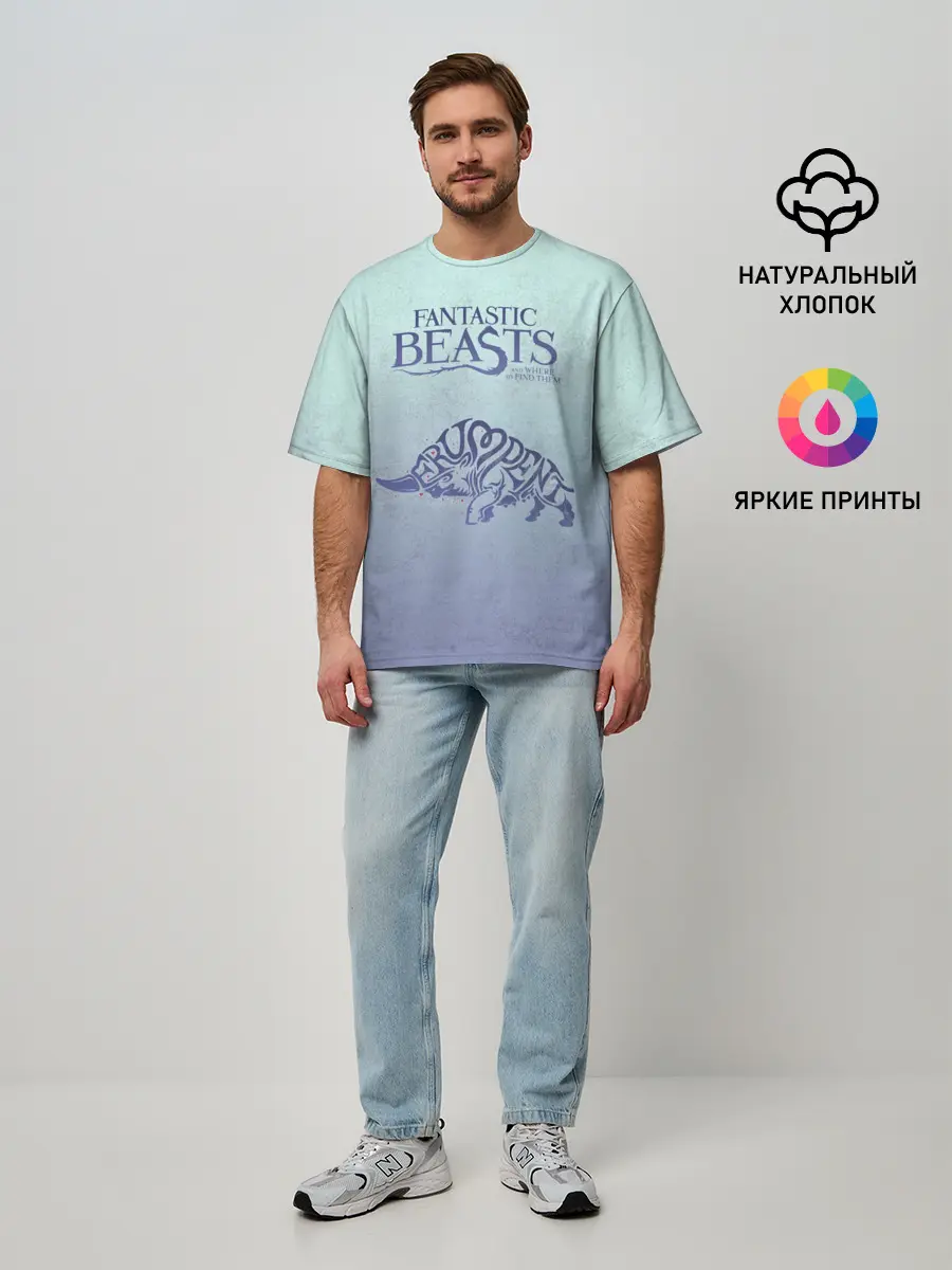 Мужская футболка оверсайз / Erumpent