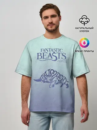 Мужская футболка оверсайз / Erumpent