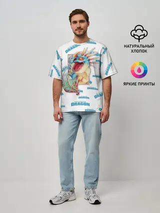 Мужская футболка оверсайз / Как приручить дракона