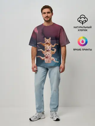 Мужская футболка оверсайз / Танцующие коты