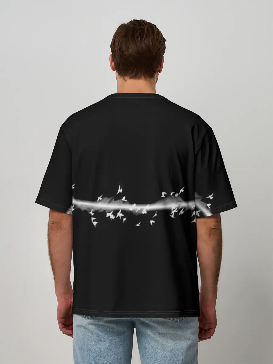 Мужская футболка оверсайз / Pink Floyd