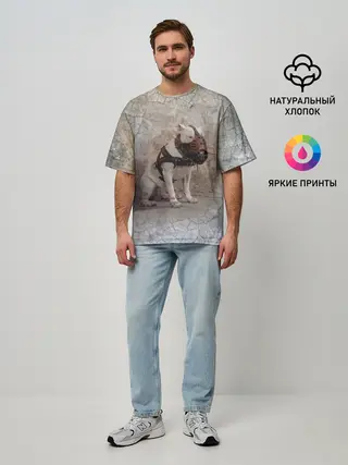 Мужская футболка оверсайз / Бойцовый бультерьер