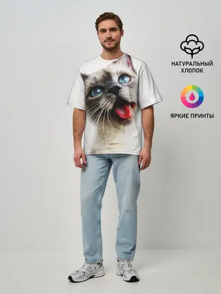Мужская футболка оверсайз / Котик