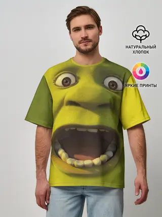 Мужская футболка оверсайз / Shrek | Шрек